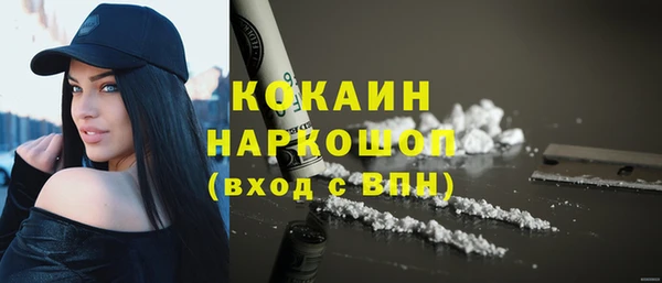 эйфоретик Богданович